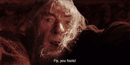 Fly you Fools